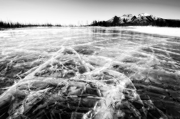 Your Best Shot: 'Black and White' Winner Announced  